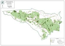 Plan cięć w lasach Nadleśnictwa Bydgoszcz na 2024 rok