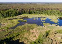 Zatrzymamy wodę w lasach